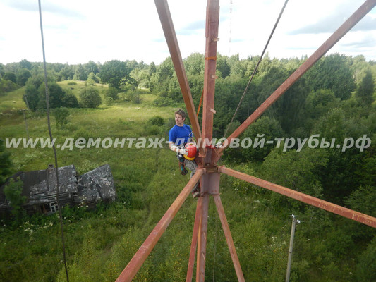 Демонтаж башни связи Ростелеком на территории Валдайского национального парка (Новгородская область)